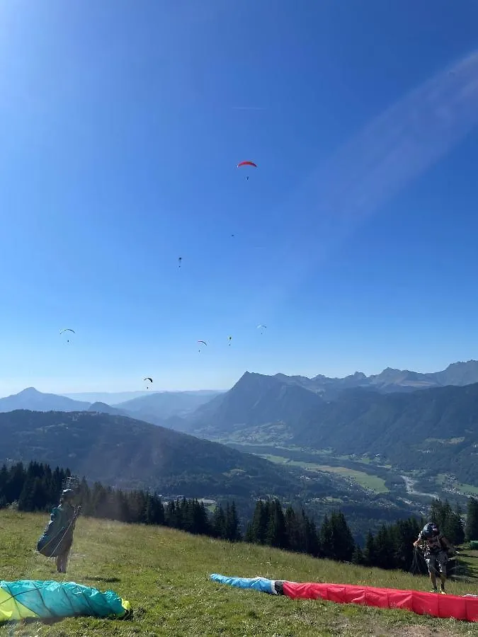 Samoens 1600 Studio Au Pied Des Pistes Γαλλία